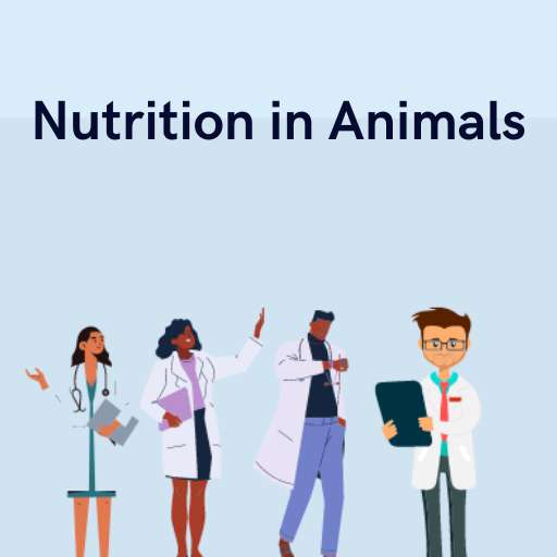 Nutrition in Animals